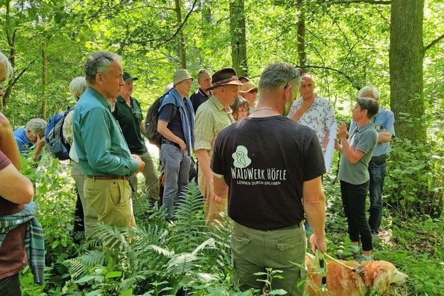 Wie Regenwasser gezielt geleitet werden kann, um es lnger in der Landschaft zu halten