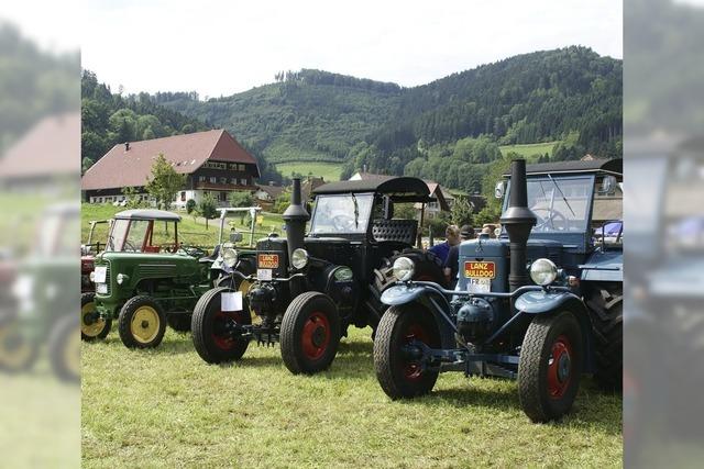 Blasmusik und Oldtimer-Traktoren bestimmen den Hock dem MV Buchenbach