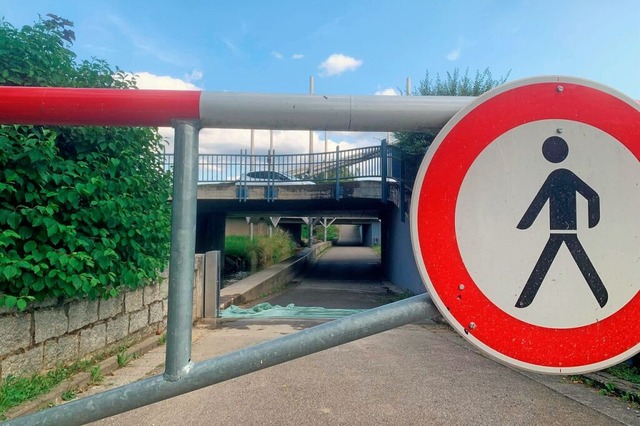 Unter dem Malteserkreisel fhrt ein wi...uer ist eine Fhrungsschiene zu sehen.  | Foto: Simone Hhl