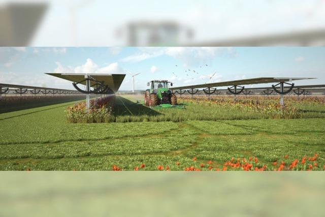 Wutacher Gemeinderat bremst Photovoltaik-Projektierer aus