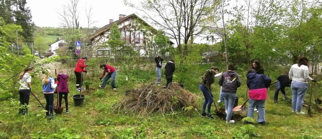 Die Teilnehmenden der AG Nachhaltigkei... fr die Umgestaltung des Biotops ein.  | Foto: Stadtverwaltung Weil am Rhein