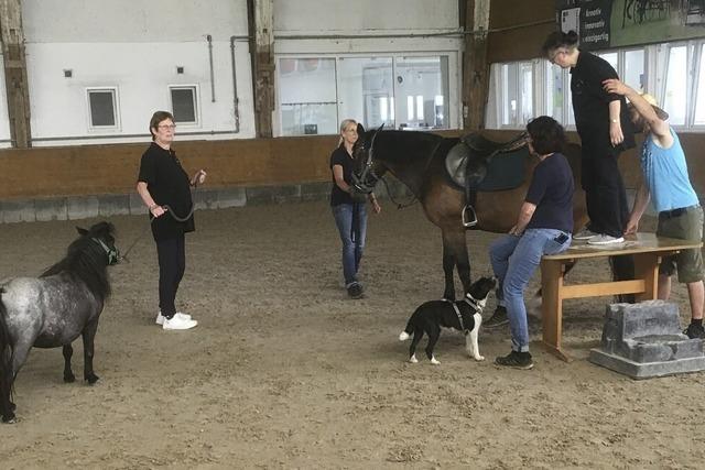 Reiten in Ottenheim fr Menschen mit Handicap