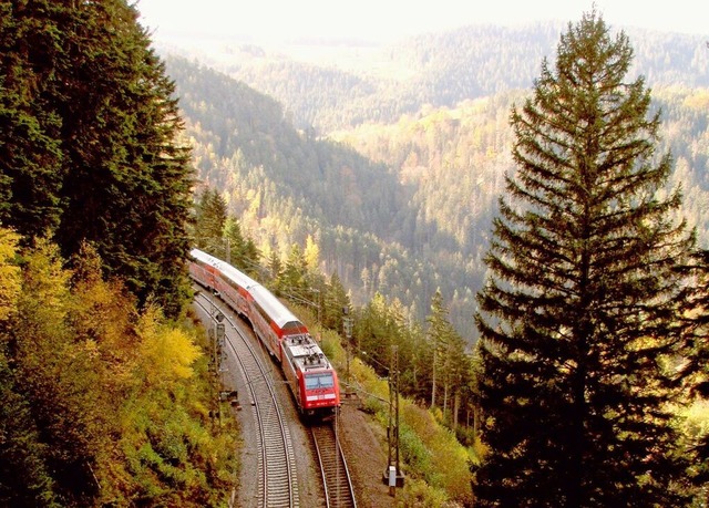 Einfach mal auf der Schwarzwaldbahn di...er-Monatskarte auch im August mglich.  | Foto: privat