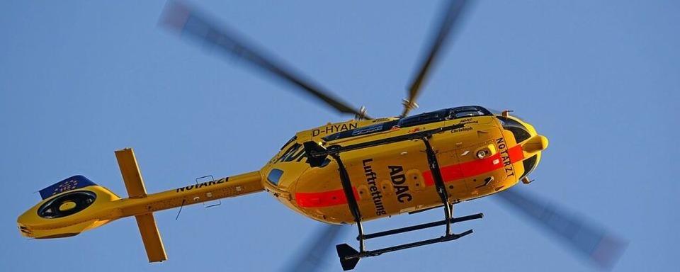 Pferd strauchelt im Wald bei Haslach im Kinzigtal: Reiterin schwer verletzt