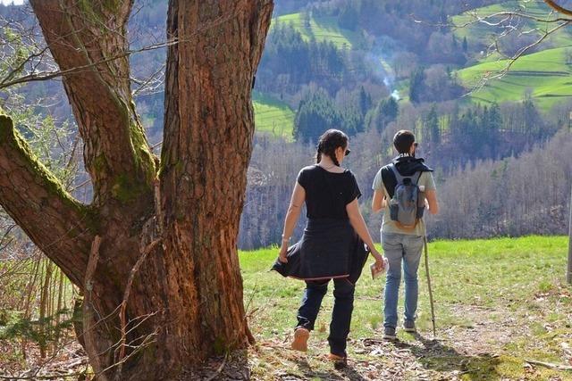 Bei Wanderungen auf dem Wiesentler Alemannenweg steht die alemannische Mundart im Fokus