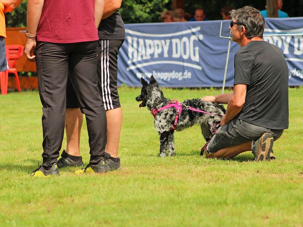 Beim Agility-Turnier am Samstag waren 320 Mensch-Hunde-Teams angemeldet.