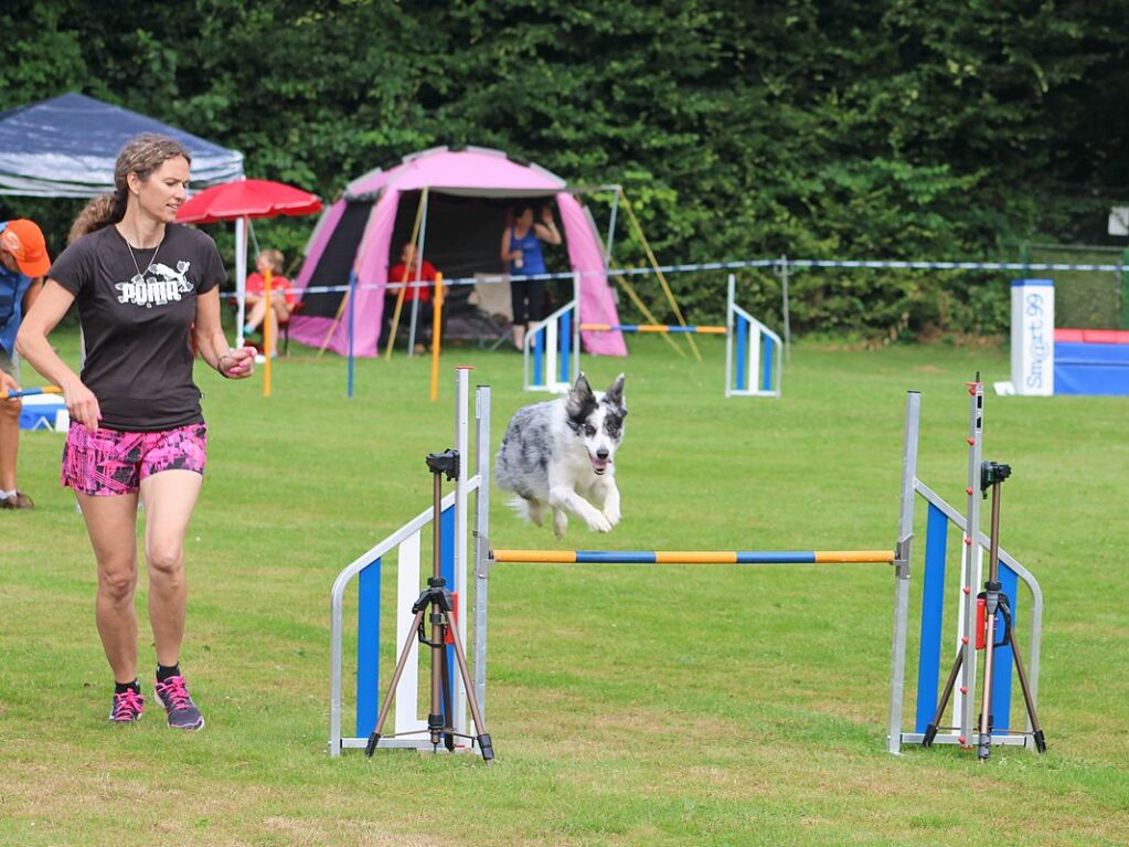 Beim Agility-Turnier am Samstag waren 320 Mensch-Hunde-Teams angemeldet.