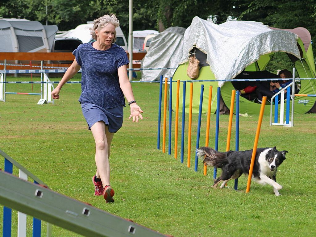 Beim Agility-Turnier am Samstag waren 320 Mensch-Hunde-Teams angemeldet.