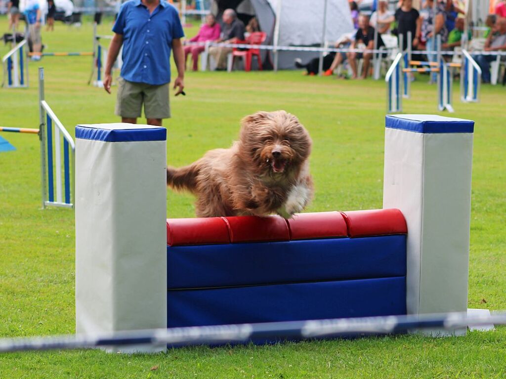 Beim Agility-Turnier am Samstag waren 320 Mensch-Hunde-Teams angemeldet.