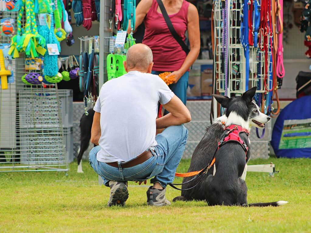 Beim Agility-Turnier am Samstag waren 320 Mensch-Hunde-Teams angemeldet.