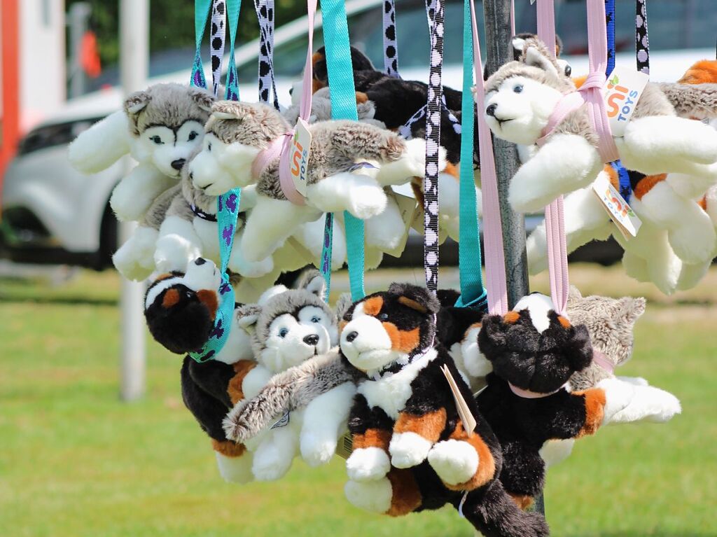 Beim Agility-Turnier am Samstag waren 320 Mensch-Hunde-Teams angemeldet.