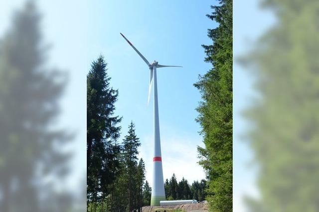 Gemeinderat Winden sieht den Hrnleberg fr Windkraft als eine Tabuzone an – anderes wird befrwortet