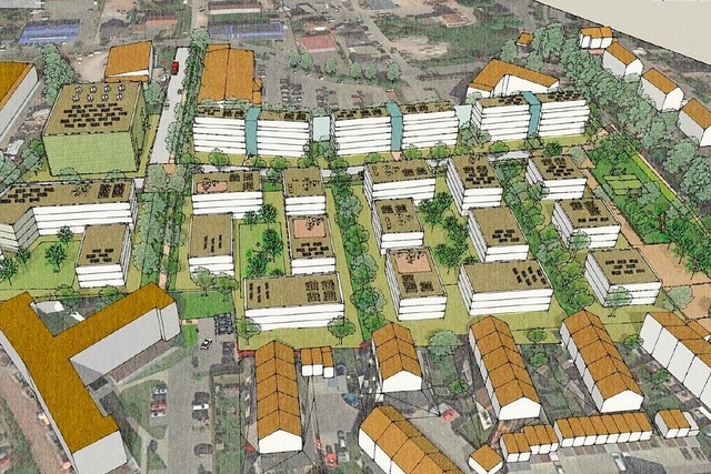 Hirschmatten II mit Blick von der Stad...-Gebude in T-Form und Hirschmatten I.  | Foto: Illustration FSP Stadtplanung