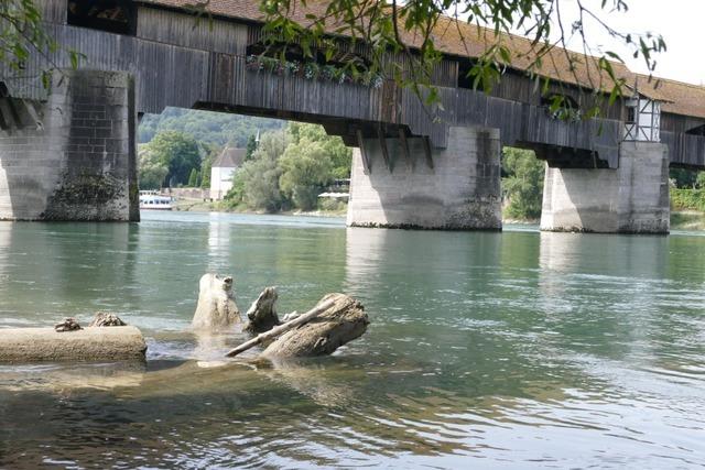 So gefhrlich ist zurzeit das Schwimmen im Rhein