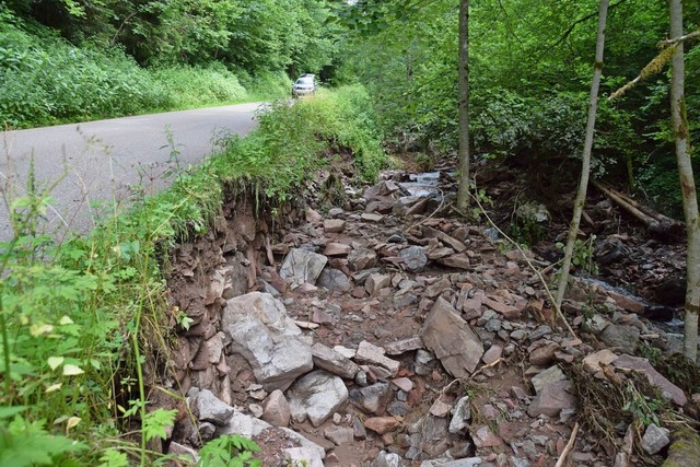 Eine Abbruchkante im Fohrenbachtal, in...egen die Fahrbahn stark untersplt war  | Foto: Stefan Pichler