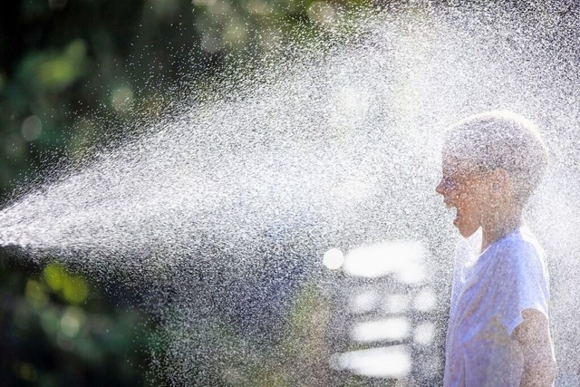 Warm, wrmer, Mllheim: Die hheren Te...d gibt es Zeichen fr den Klimawandel.  | Foto: Jens Bttner (dpa)