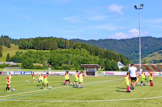 Konzentriert fhrten die jungen Fuballer die bungen aus.   | Foto: Privat