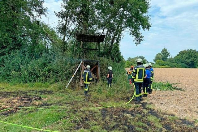 Ein Hochsitz brennt in Neuried-Altenheim