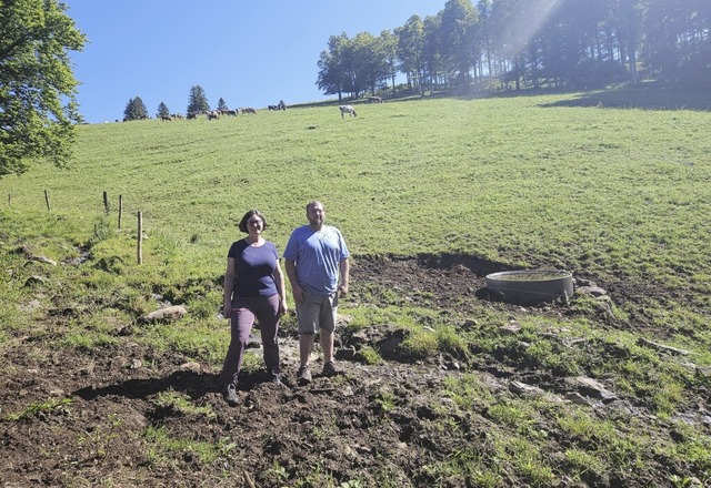 Steffen Beha von der Weidegenossenscha...h ber die Untersttzung der Behrden.  | Foto: Ariane Dmeland, Landratsamt Breisgau-Hochschwarzwald