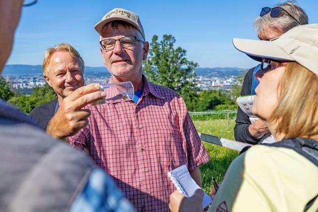 Auf dem Tllinger Berg bei Lrrach gibt es viele Schmetterlinge – doch sie haben zu kmpfen