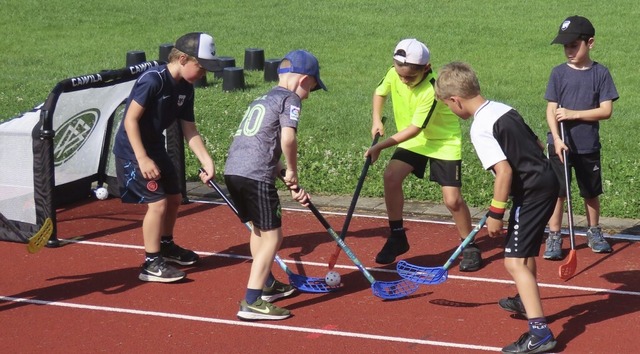 Beim Multisports-Camp in Wehr steht me...ige&#8220; gilt aber auch beim Hockey.  | Foto: Gerd Leutenecker