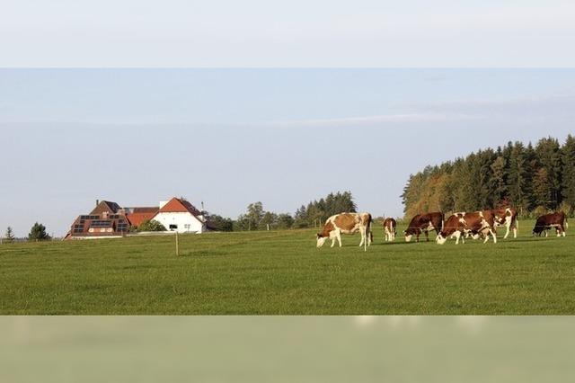 Eisenbacher Ja zu Solarpark Oberbrnd