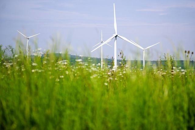 Ein bisschen Windkraft knnen sich St. Mrgens Rte vorstellen