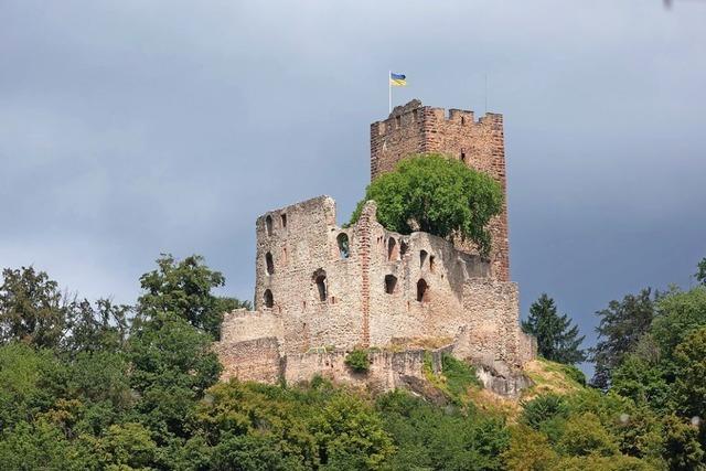 Waldkircher Heimat- und Geschichtsverein wird 150 Jahre alt