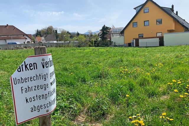 Auf einer Wiese zwischen Wohngebiet un... ber die schon viel diskutiert wurde.  | Foto: Simone Hhl