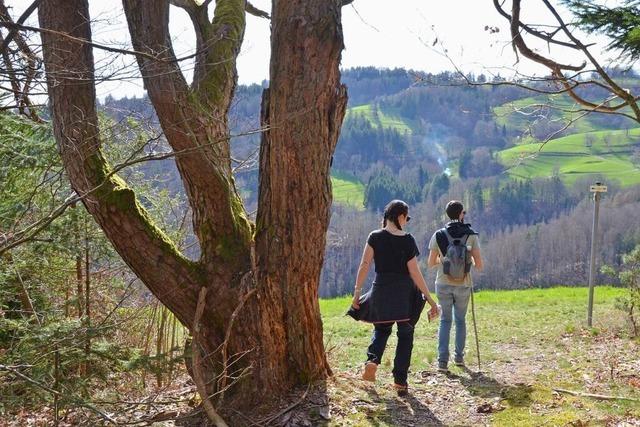 Wandern mit Mundart: Der Wiesentler Alemannenweg