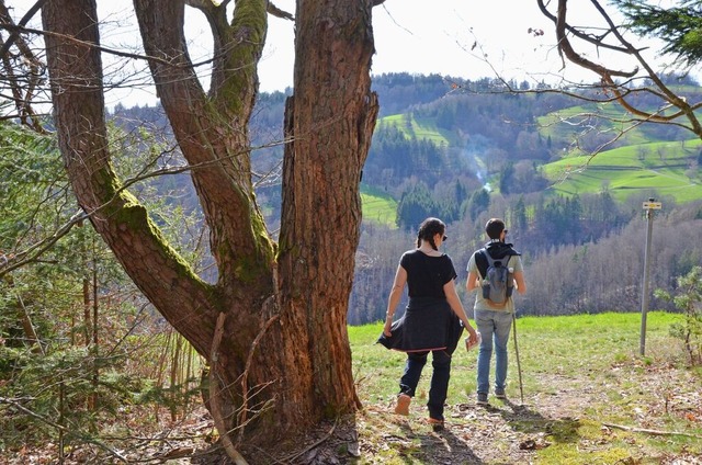 Dufte: Der vom Schwarzwaldverein Zell ...eratur- sondern auch ein Naturgenuss.   | Foto: Anita Fertl