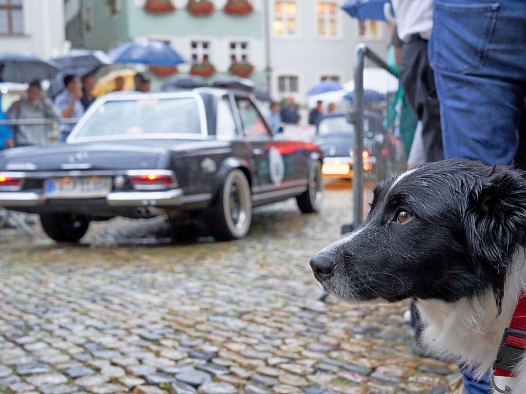 Oldtimer und Autofans am Mnsterplatz in Freiburg