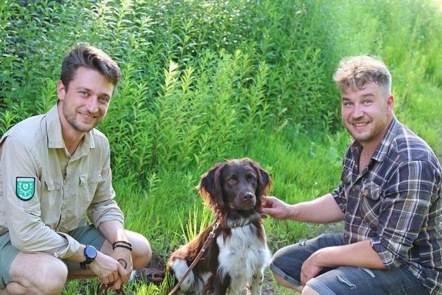 Respekt vor der Kreatur behalten: Unterwegs mit zwei Jgern im Wald von Lrrach-Brombach