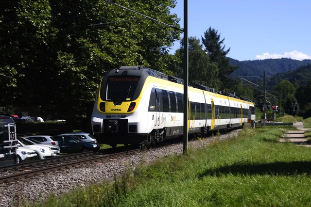 An dieser Stelle auf Hhe des Parkplat...r zum Campingplatz Belchenblick fhrt.  | Foto: Bernhard Seitz