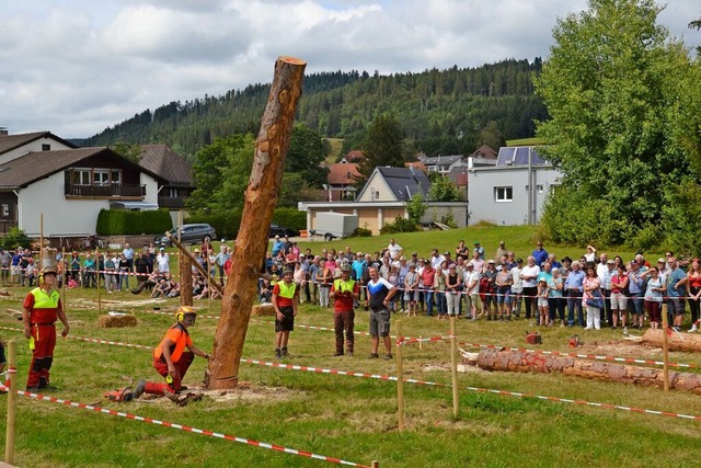 Der Baum fllt, die Spannung steigt: W...umstamm das vorgegebene Ziel treffen?   | Foto: Christiane Sahli