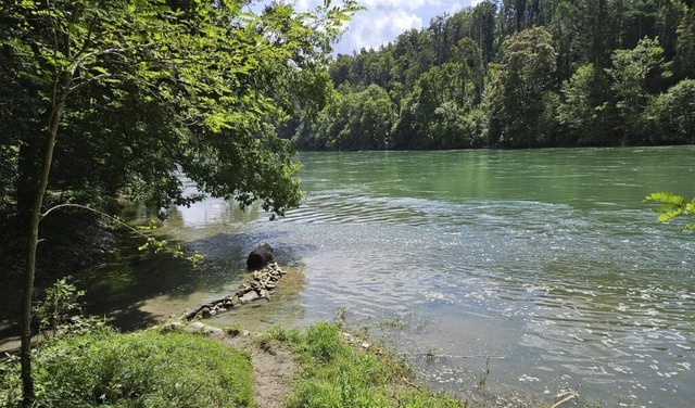 An dieser Badestelle nahe des Campingp...hrigen aus dem Wasser gezogen werden.  | Foto:  Nico Talenta