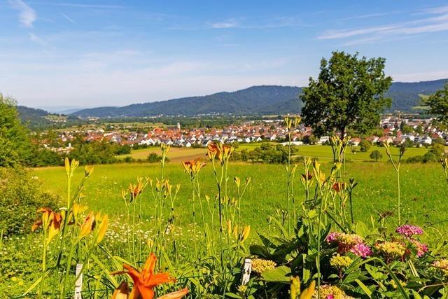 Ein Sommertag in Kirchzarten: Abkhlen, Radeln, Aussicht genieen