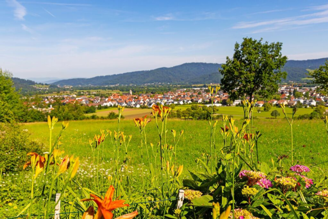 Ein Sommertag in Kirchzarten: Abkhlen, Radeln, genieen