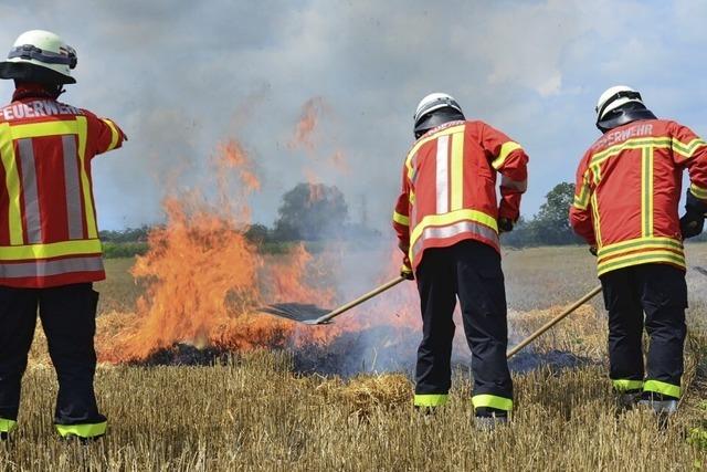 Feuerwehr Breisach probt den Flchenbrand