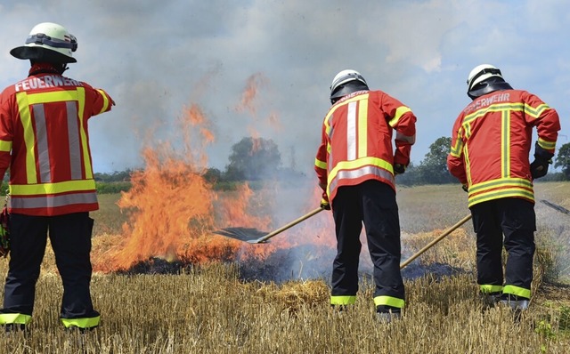 Einsatzkrfte aus Breisach, Rimsingen,...enbrand auf einem Feld bei Gndlingen.  | Foto: Christine Weirich