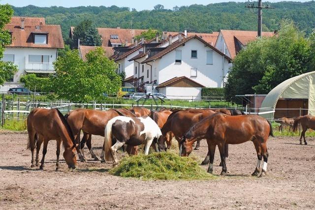 Gemeinderat Rmmingen gibt grnes Licht fr Plne des Reiterhofs Ludscher