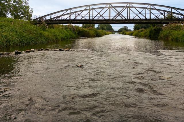 Dreisamexperte: "Die Dreisam hat mehr Wasser, doch es geht ihr nicht gut"