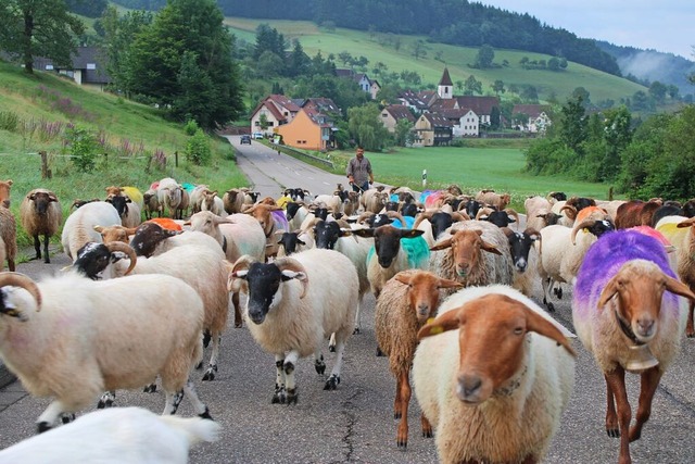 Unterwegs ins Brettental: Christophe M...ine Arbeit in Freiamt sichtbar machen.  | Foto: Annika Sindlinger