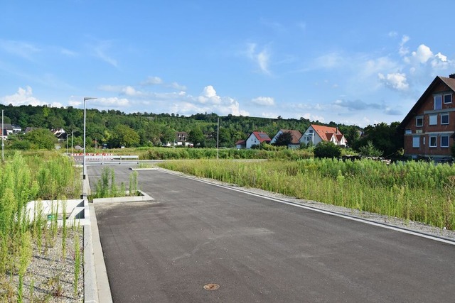 Jetzt sind auch die rechtlichen Grundl...dlichen Ortsrand von Merdingen gelegt.  | Foto: Manfred Frietsch