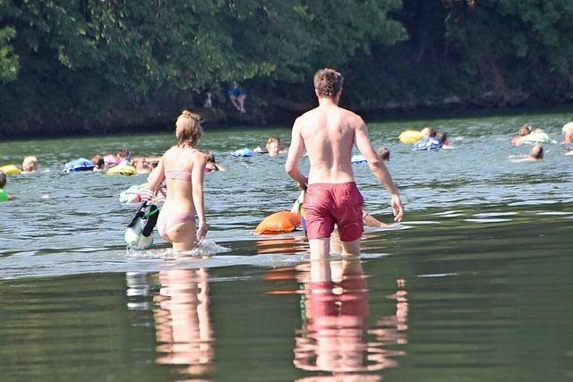 Das Rheinfelder Rheinschwimmen am Sonntag kann stattfinden