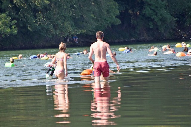 Am Sonntag findet in Rheinfelden das gemeinsame Rheinschwimmen statt.  | Foto: Horatio Gollin