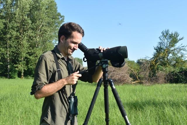 Die Vogelwelt im Breisgau hat es Naturbeobachter Manuel Schulz angetan