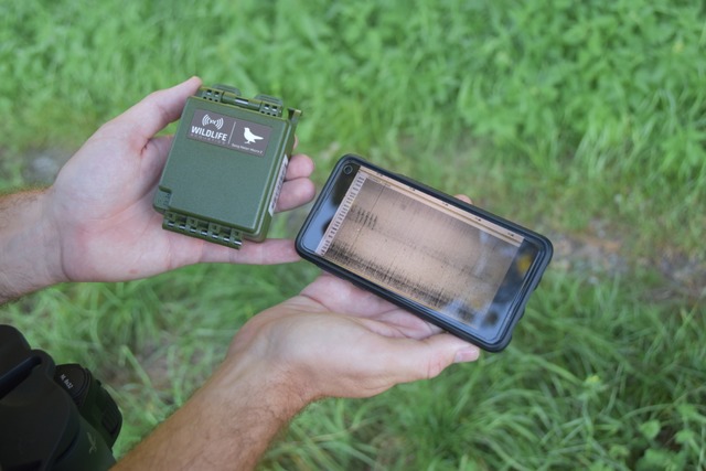 Werkzeug des Ornithologen: Ein kleines...ung der Aufzeichungen auf einem Handy.  | Foto: Manfred Frietsch