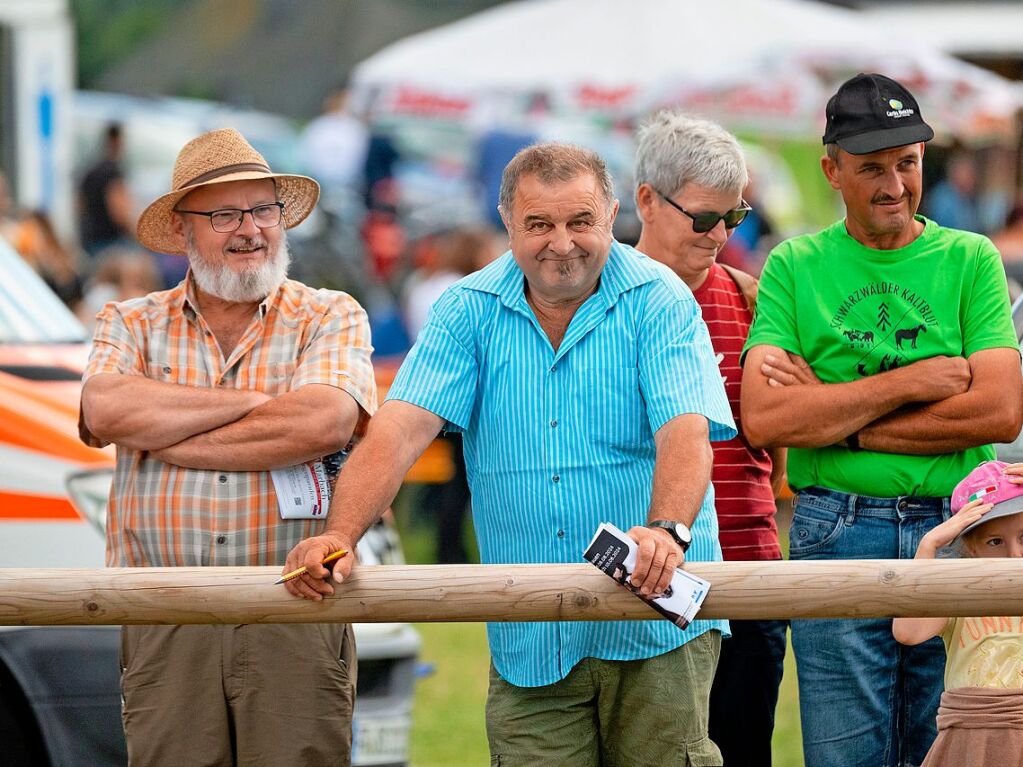 Impressionen von der Fohlenschau in St. Mrgen