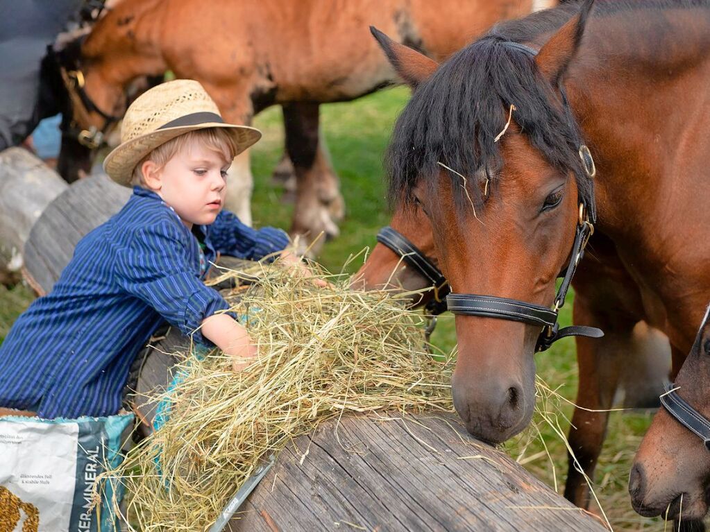 Keine Angst vor groen Tieren : der kleine Johann bei der Arbeit